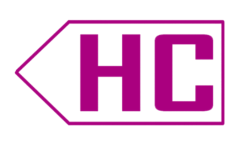 豪騏logo